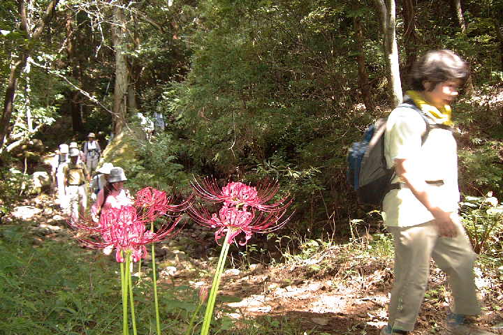 EPSN2850.JPG