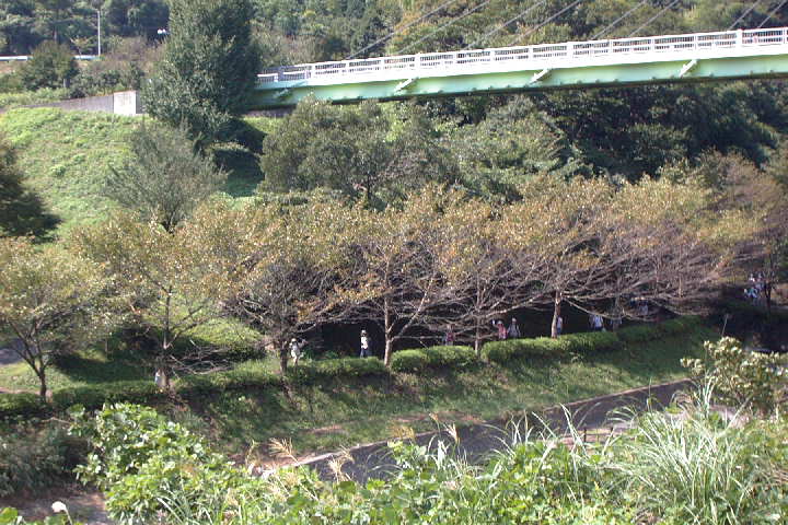 EPSN2873.JPG