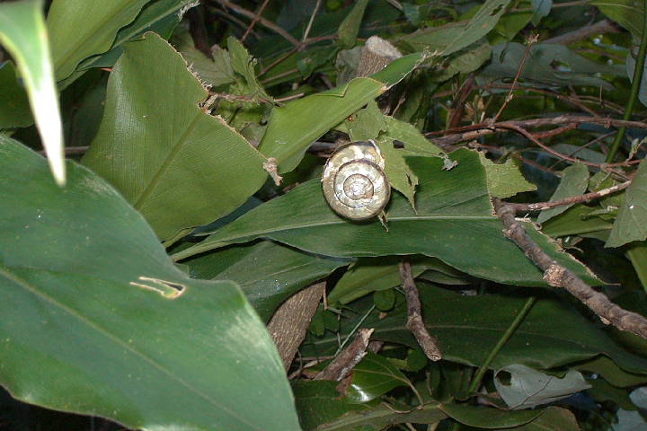 EPSN2939.JPG