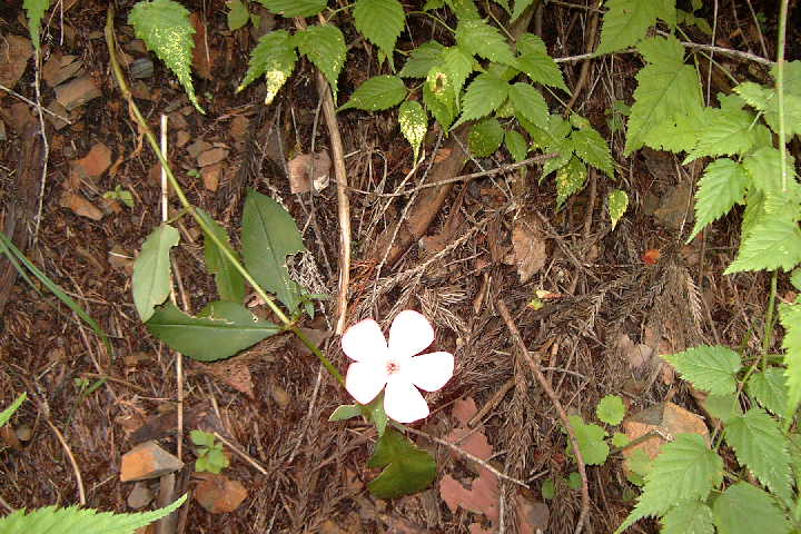 EPSN2365.JPG