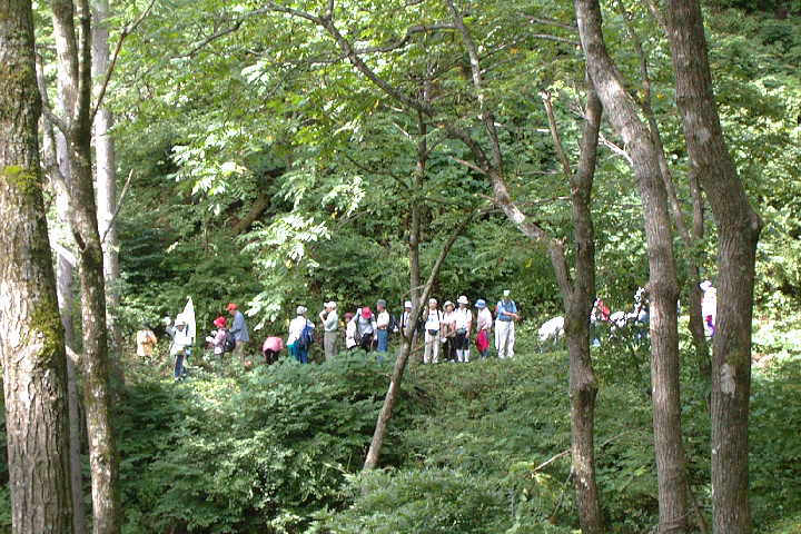 EPSN2371.JPG