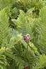 EPSN1729_thumb.png