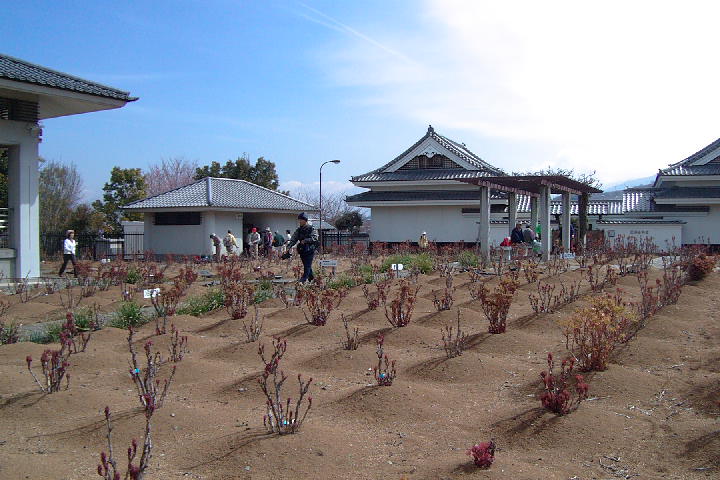EPSN4942.JPG