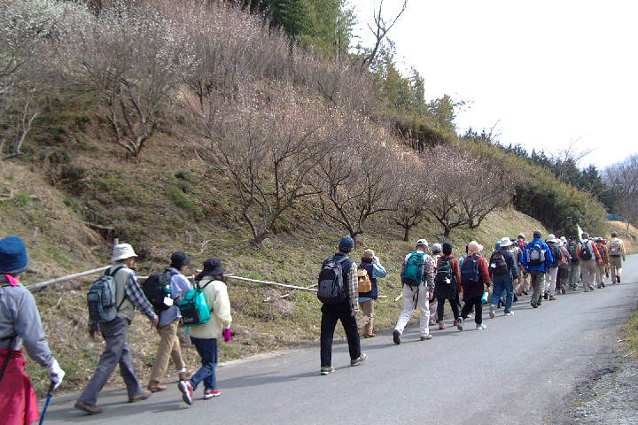EPSN5041.JPG