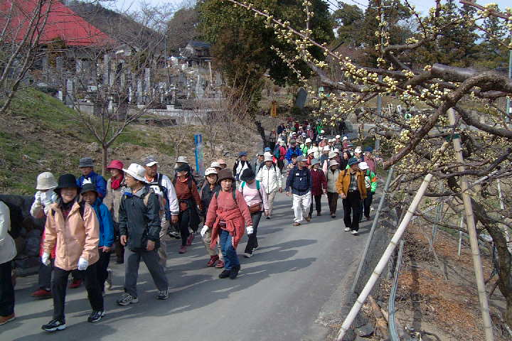 EPSN5050.JPG