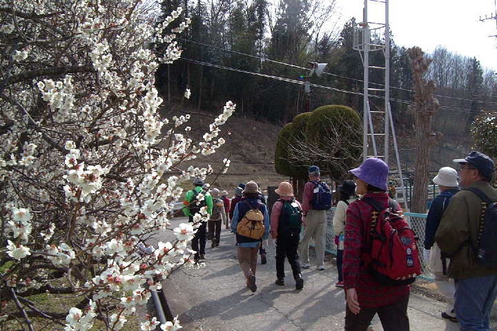 EPSN5058.JPG