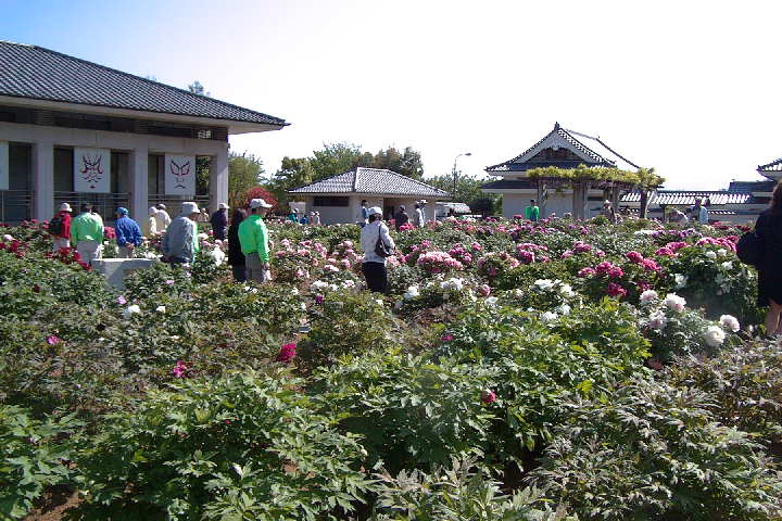 EPSN0028.JPG