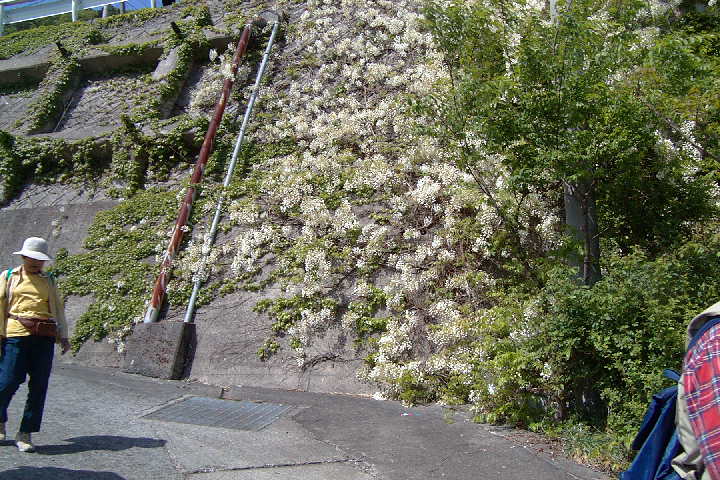 EPSN0160.JPG
