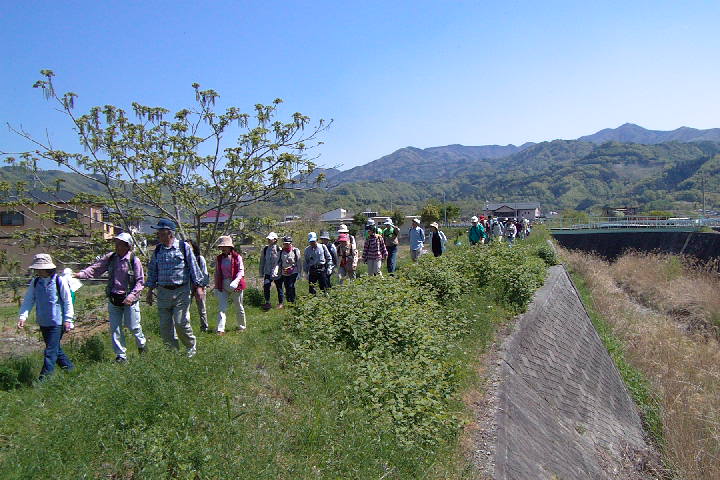 EPSN0055.JPG