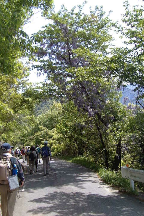 EPSN0086.JPG