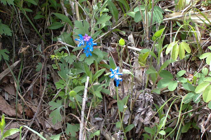 EPSN0106.JPG