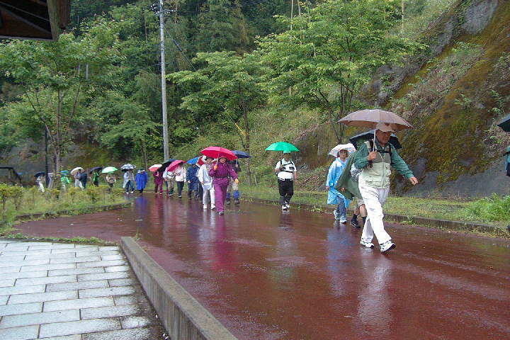 EPSN0515.JPG