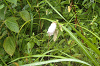 EPSN0582_thumb.png