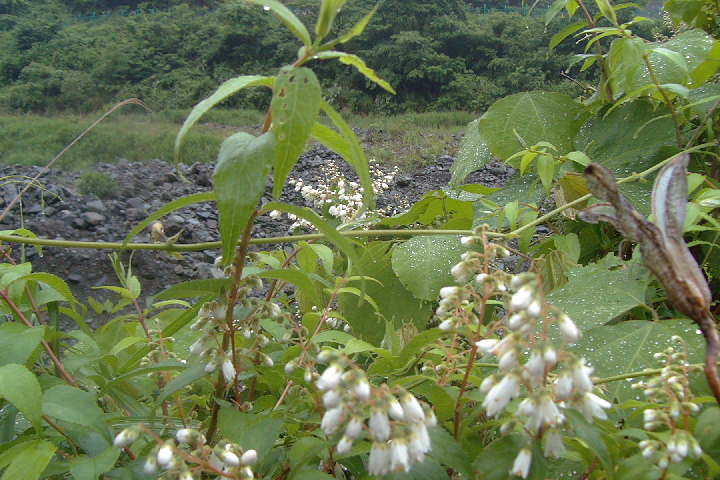 EPSN0595.JPG