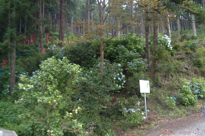 EPSN1021.JPG