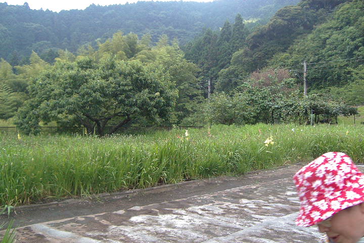 EPSN1073.JPG