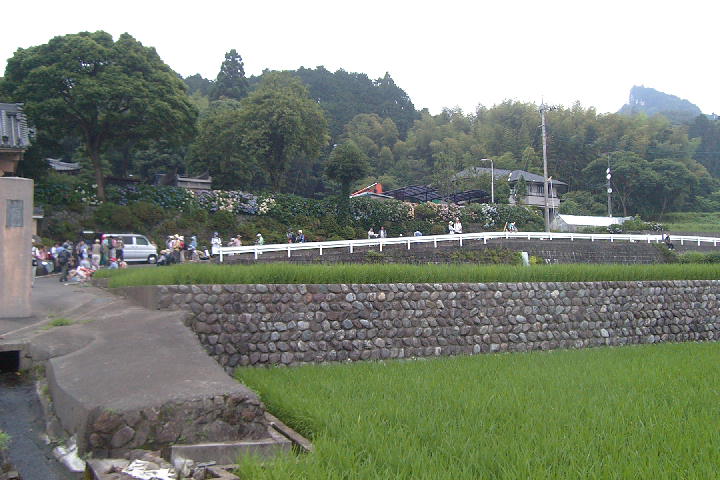 EPSN1075.JPG