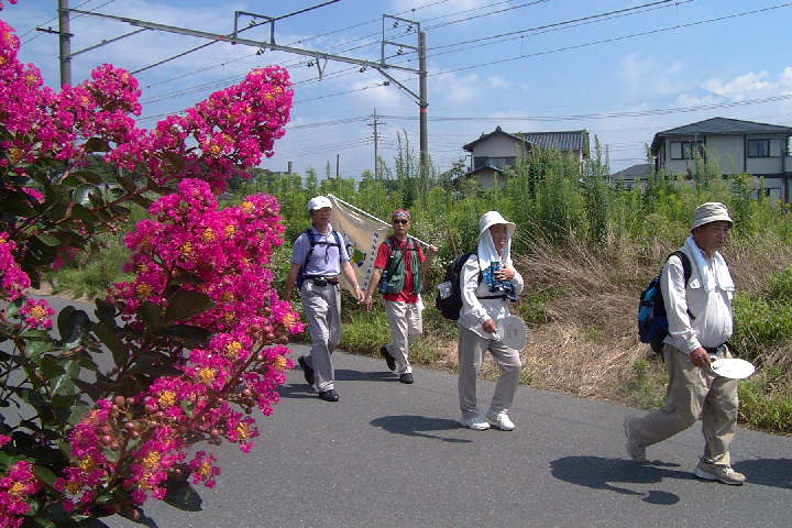 EPSN1383.JPG