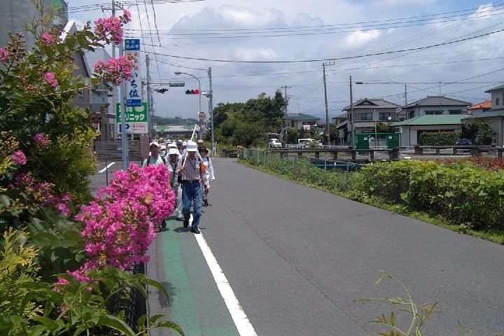 EPSN1440.JPG
