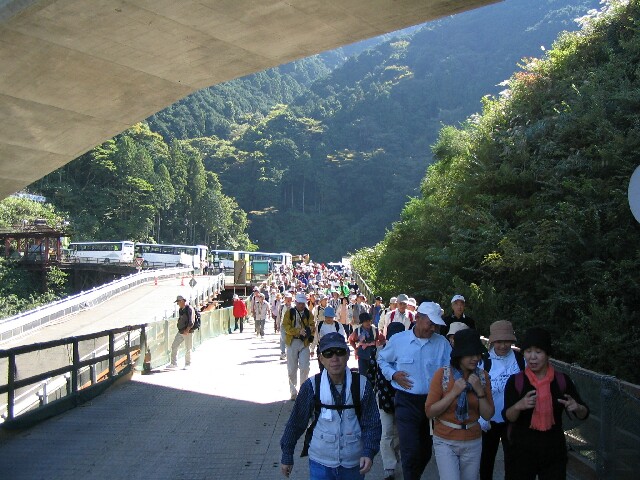 IMG_2533.JPG
