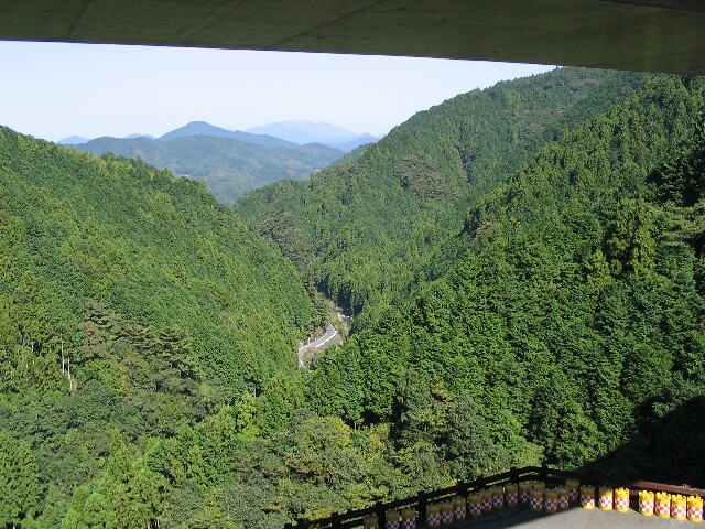 IMG_2537.JPG