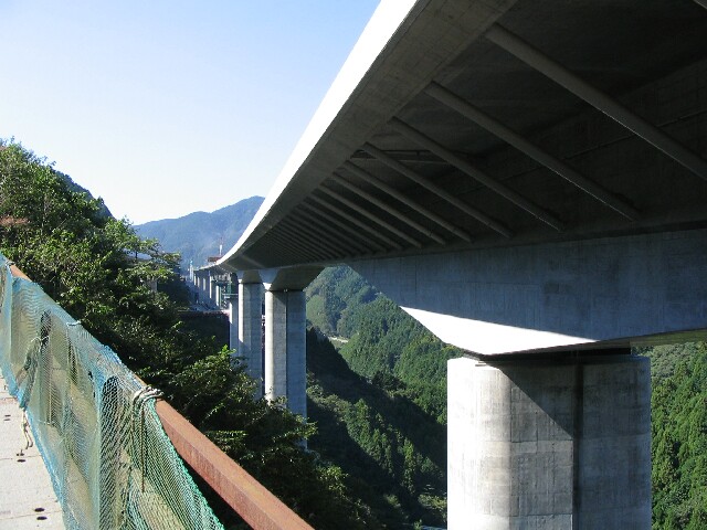 IMG_2538.JPG