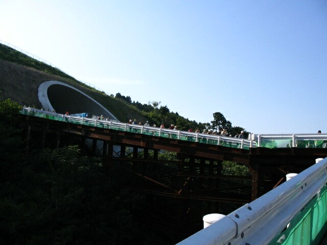 IMG_2644.JPG