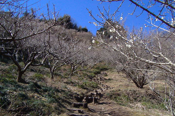 EPSN4485.JPG