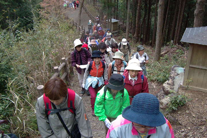 EPSN5203.JPG