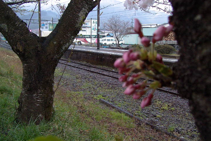 EPSN5291.JPG