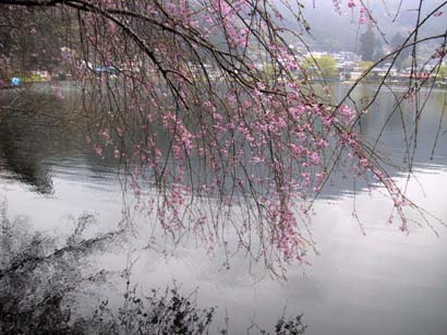 198-9838_IMG.jpg