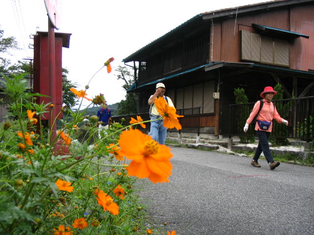 IMG_0733.JPG