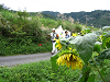 IMG_0744_thumb.png