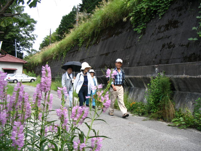 IMG_0767.JPG