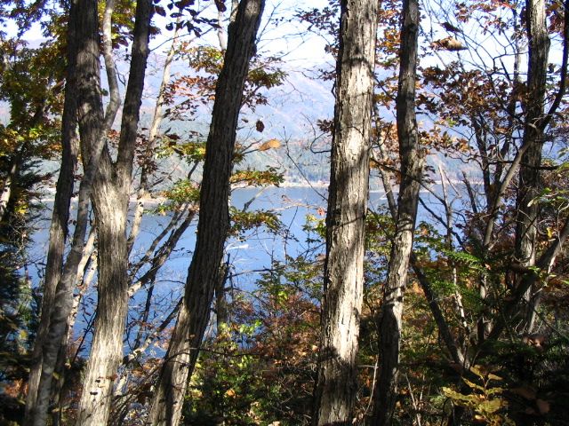 IMG_3082.JPG