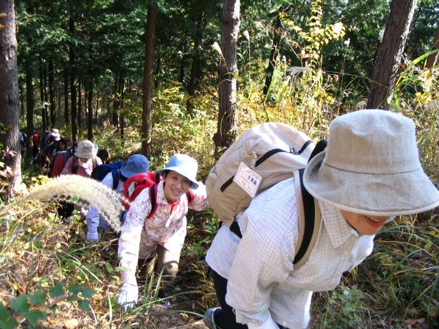 IMG_3083.JPG