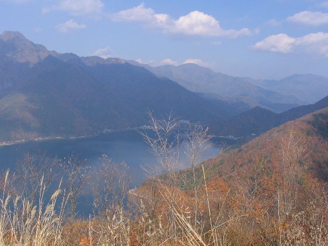 IMG_3145.JPG