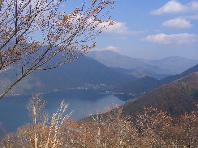 IMG_3147.JPG
