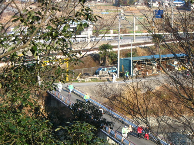 IMG_4487.JPG