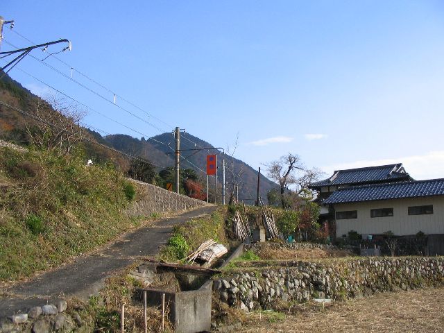 IMG_4595.JPG