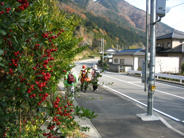 IMG_4599.JPG