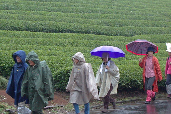EPSN0330.JPG