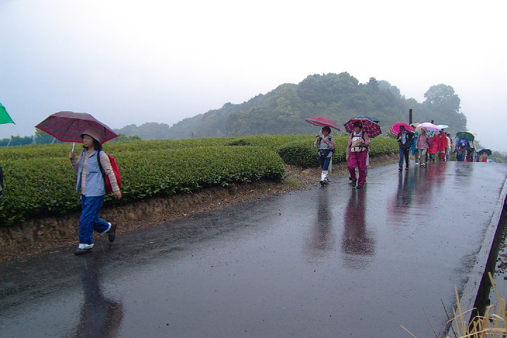EPSN0347.JPG