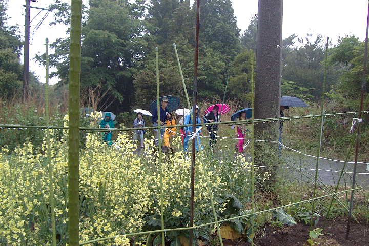 EPSN0359.JPG
