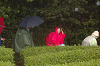 EPSN0397_thumb.png