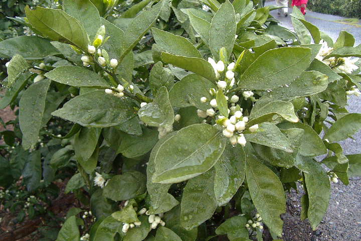 EPSN0398.JPG