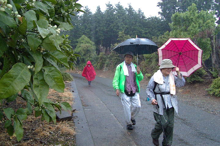 EPSN0403.JPG
