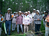 CIMG0940_thumb.png
