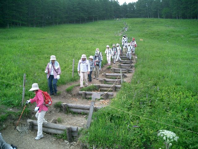 CIMG0946.JPG