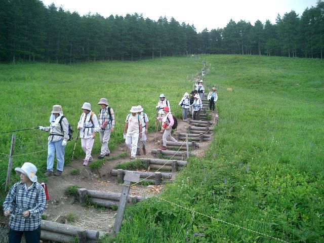 CIMG0947.JPG